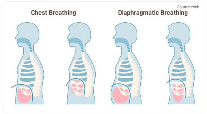 Infográfico demonstrando a técnica de respiração diafragmática para controlar a ansiedade no tratamento para parar de fumar